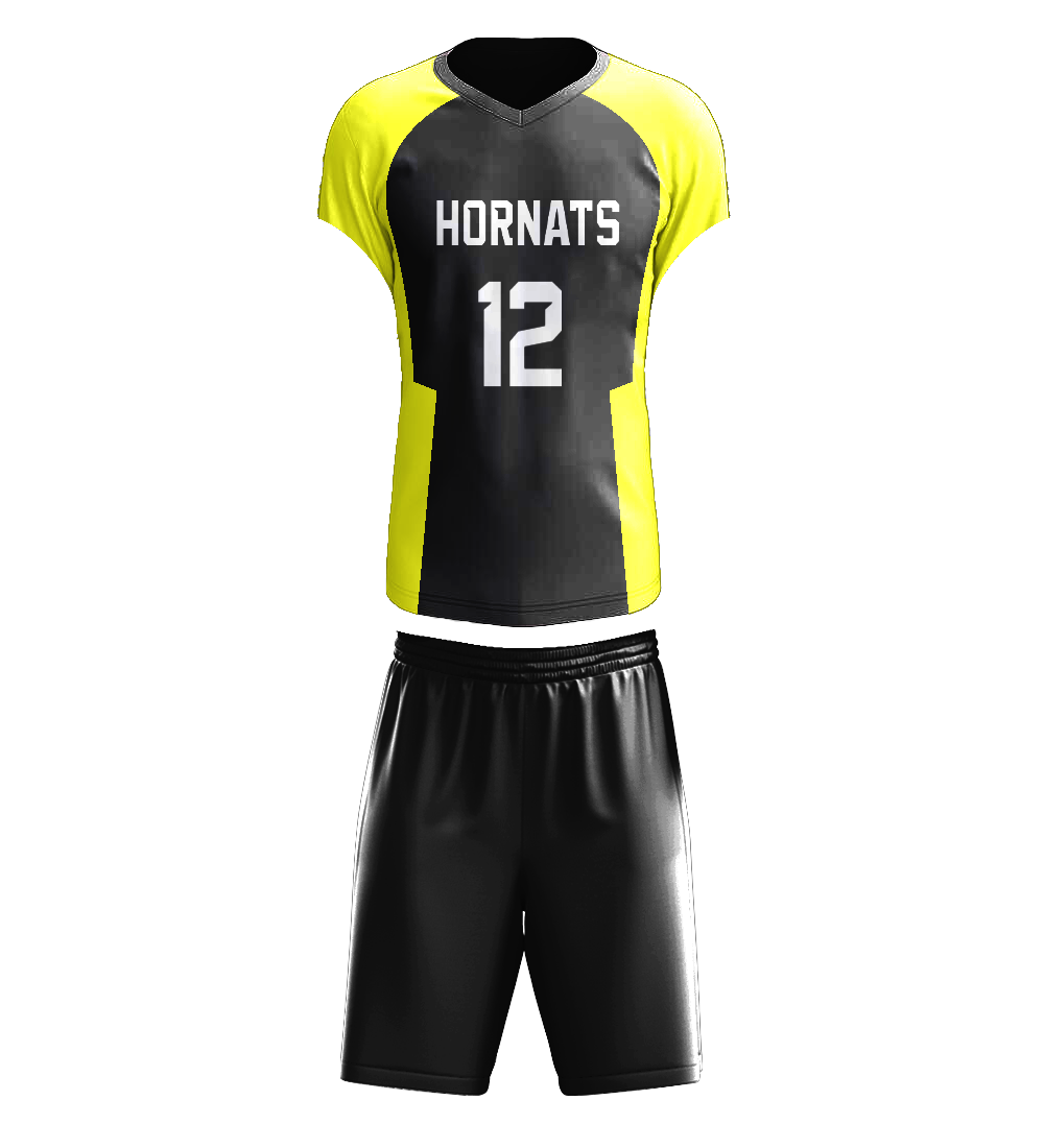 Volley Ball