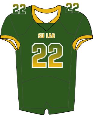 Southern Lab Football Jersey - Riddle Green