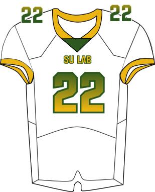 Southern Lab Football Jersey - BSN Green