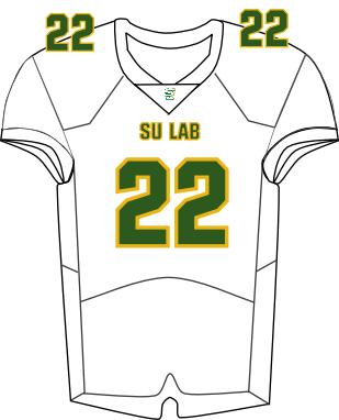 Southern Lab Football Jersey - White