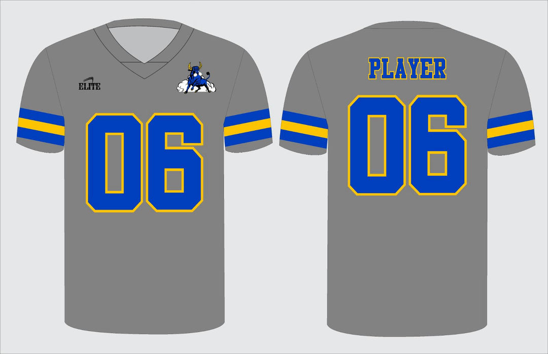 Northwest Fan Football Jersey - Gray/Blue