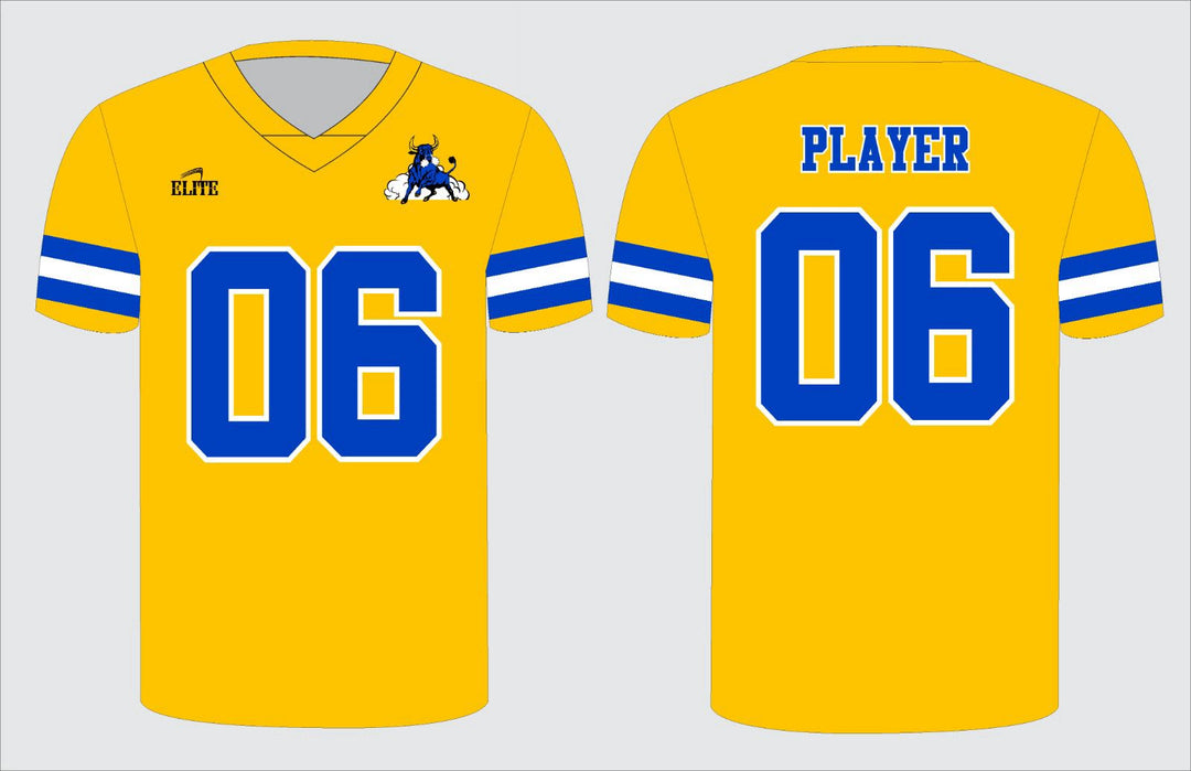 Northwest Fan Football Jersey - Yellow/Blue