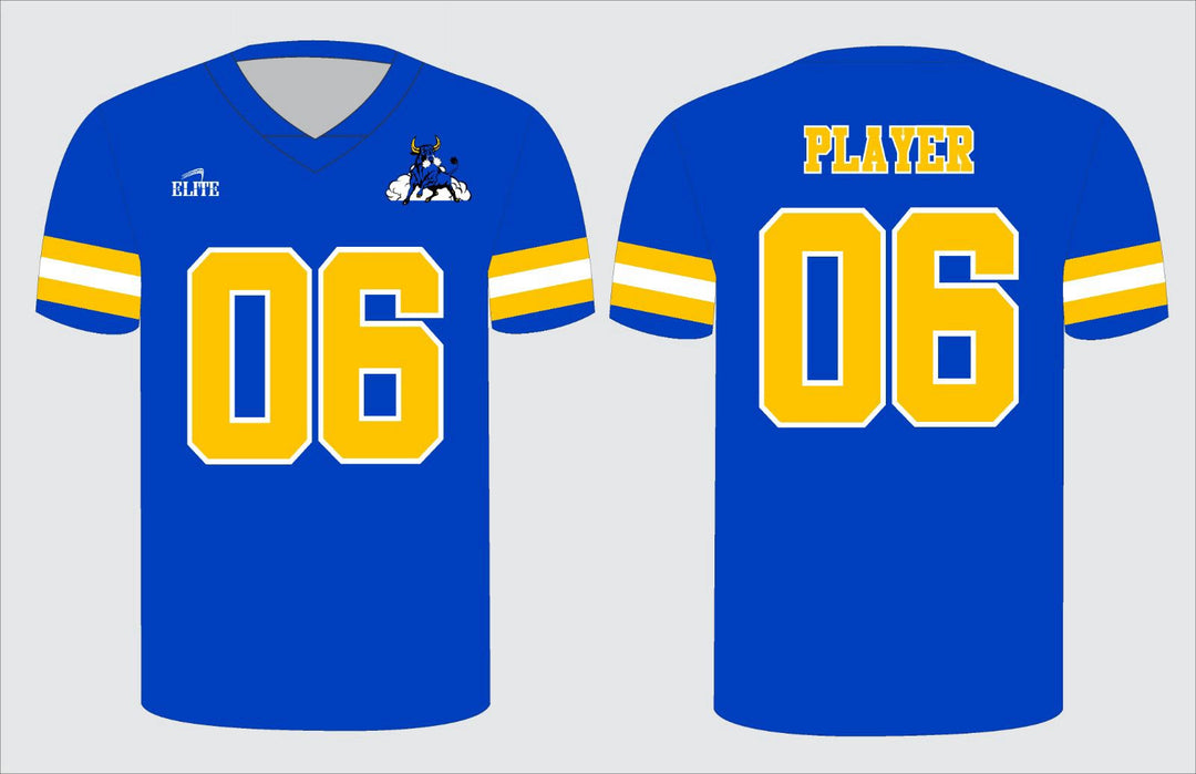 Northwest Fan Football Jersey - Blue/Yellow