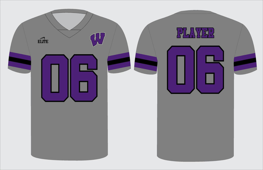 Panthers Football Jersey - Grey