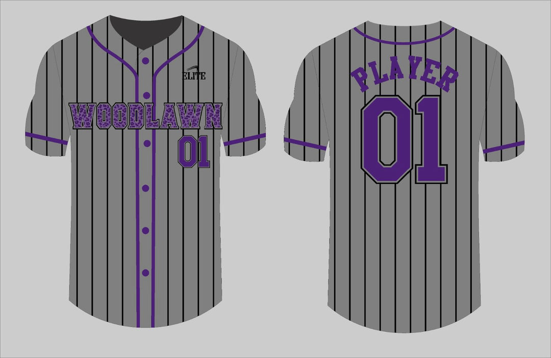 Panthers Woodlawn Baseball Jersey - Grey