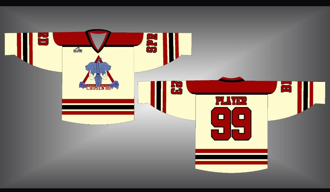 Delta-Alpha Hockey Jersey