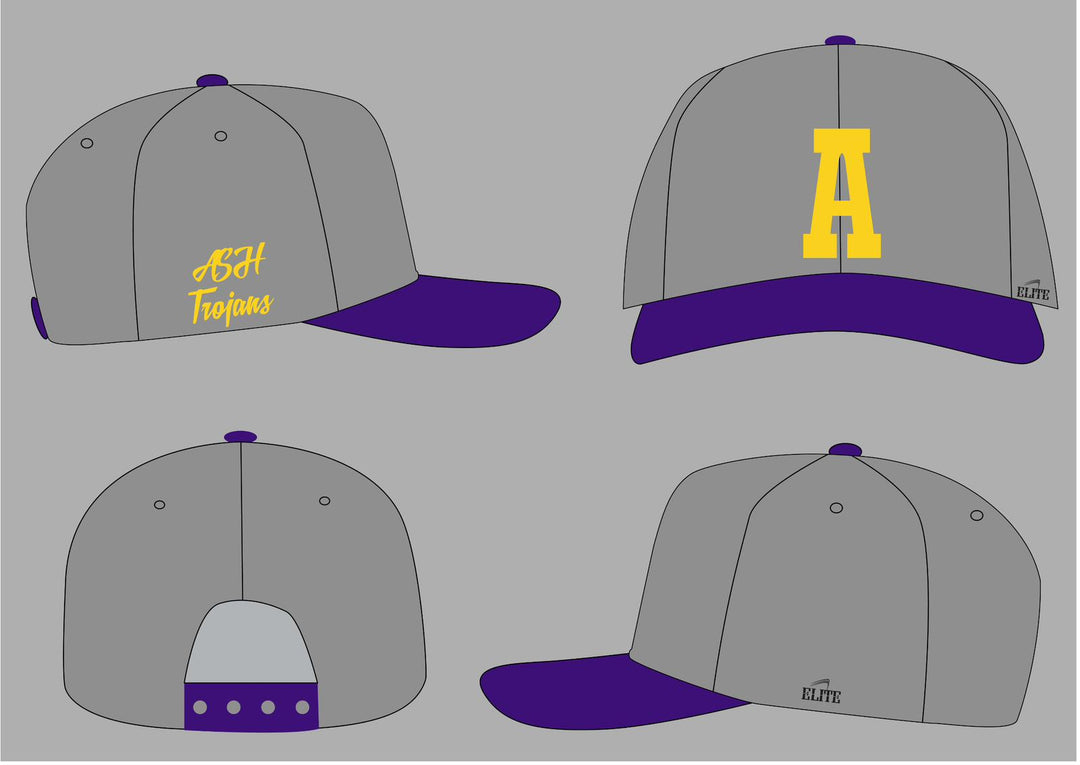 Alexandria Hat - Grey/Purple