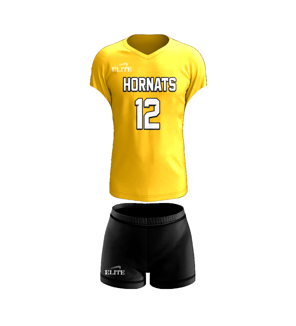 Volleyball 07