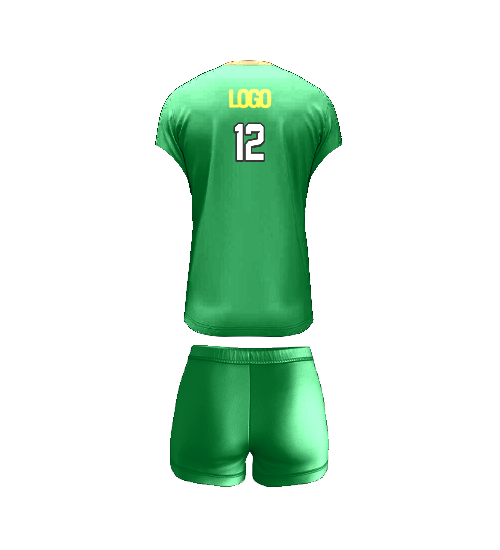 Volleyball 04