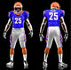 Football 13