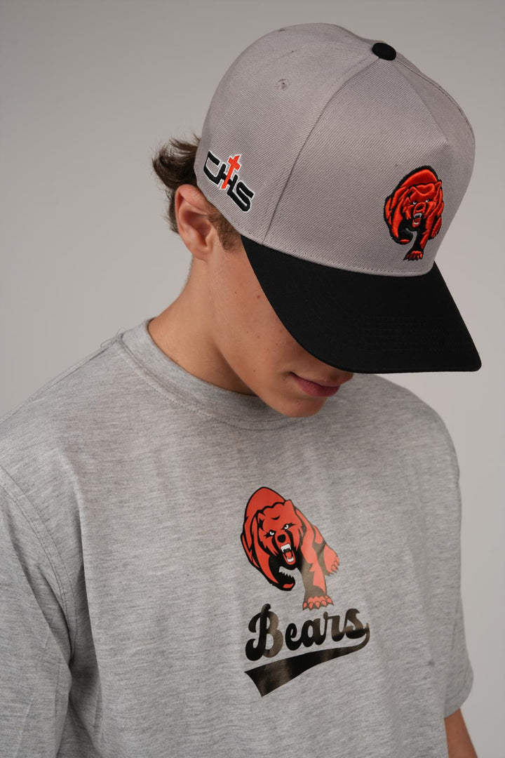 Catholic Bear Banner Shirt - Grey