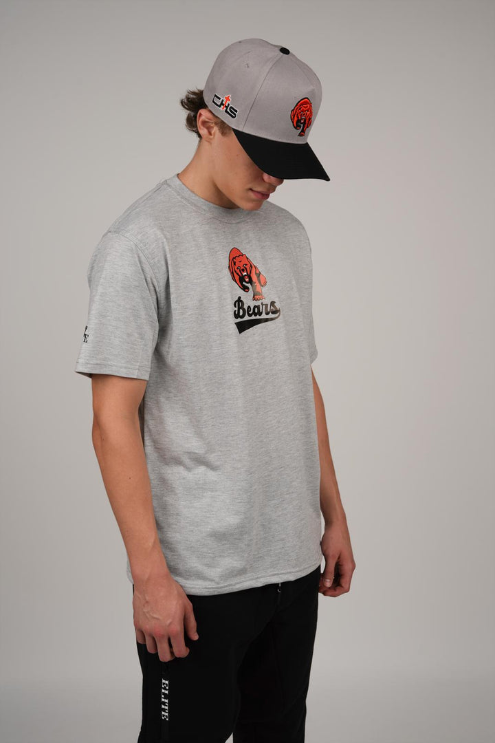 Catholic Bear Banner Shirt - Grey