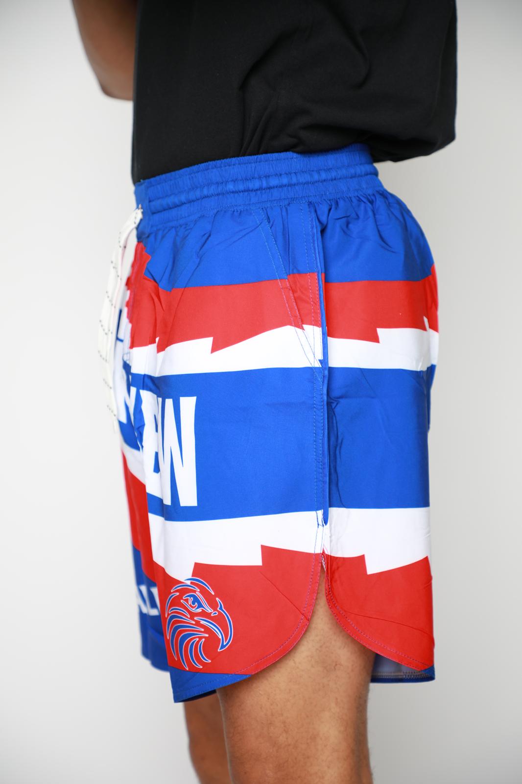 Parkview Shorts - Blue