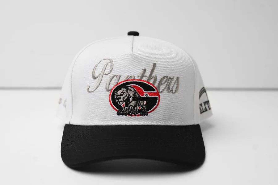 Glen Oaks Panthers Cap - White crown + Black brim