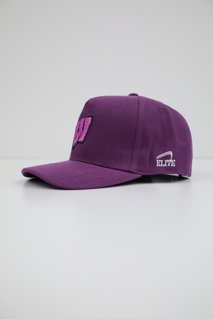 Woodlawn Panther Hat - Purple