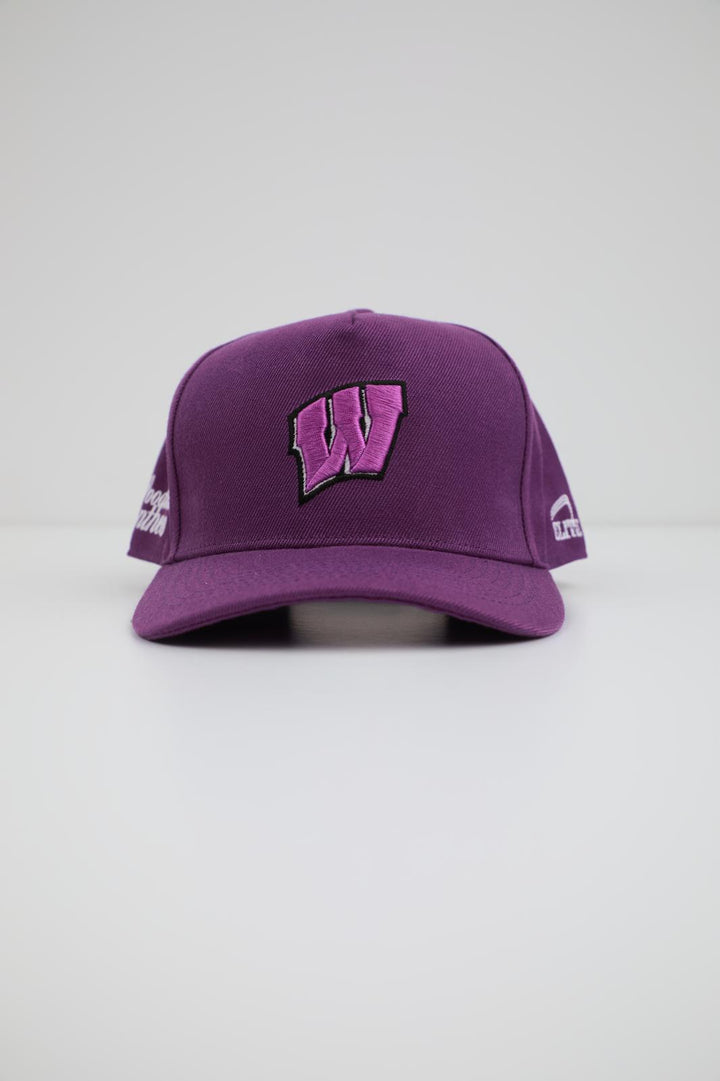 Woodlawn Panther Hat - Purple