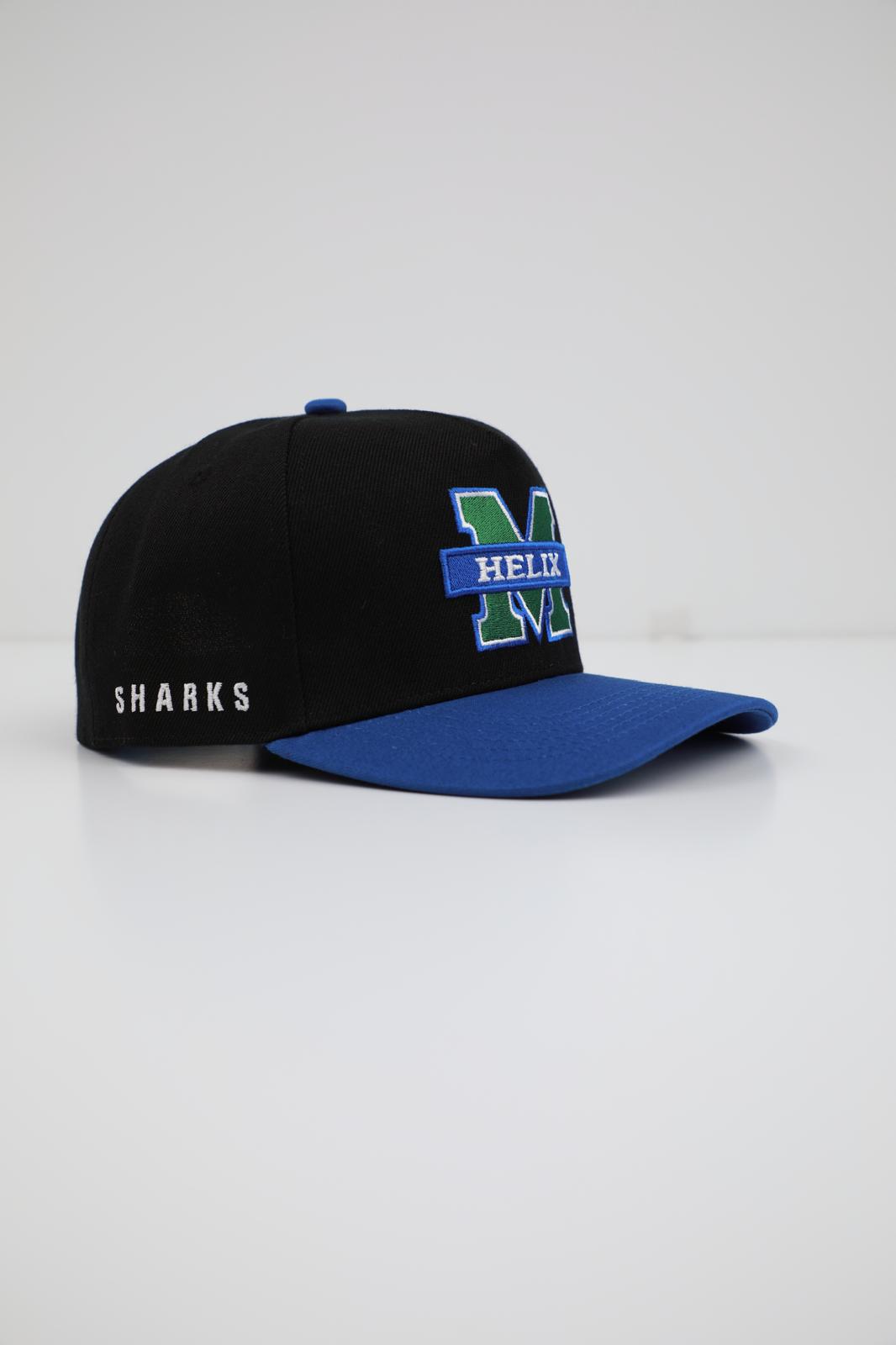 Mentorship Helix - Black & Blue