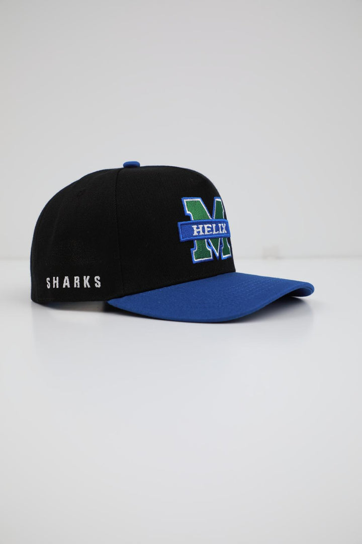 Mentorship Helix - Black & Blue