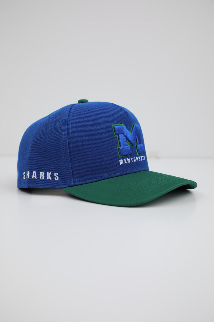 Mentorship - Blue & Green