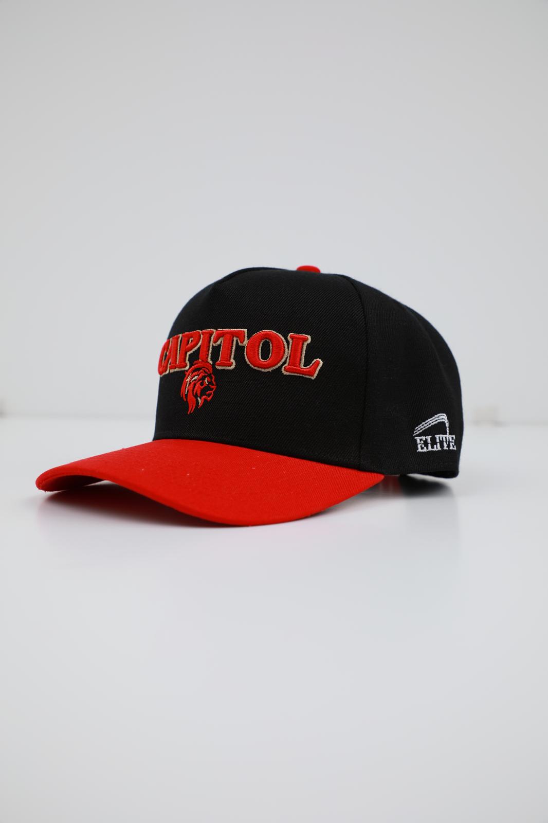 Lions - Red & Black