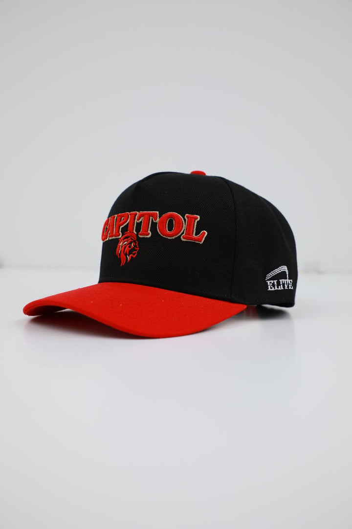 Lions - Red & Black