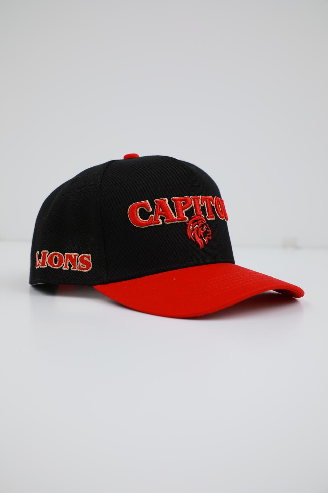 Lions - Red & Black