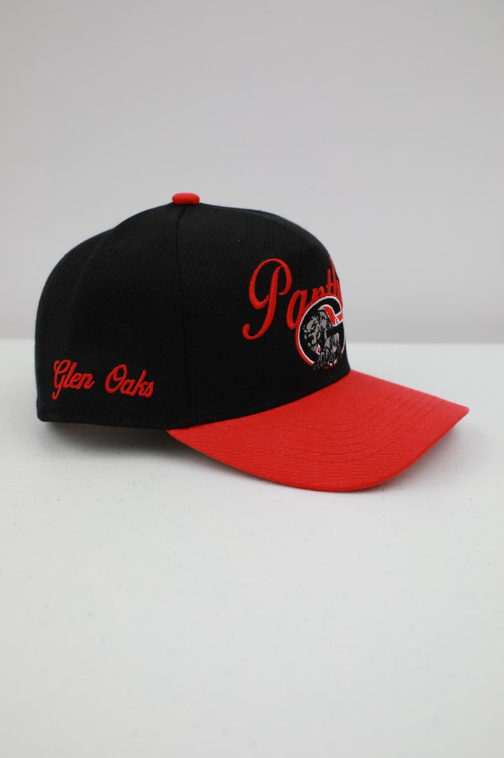 Panthers  - Black & Red