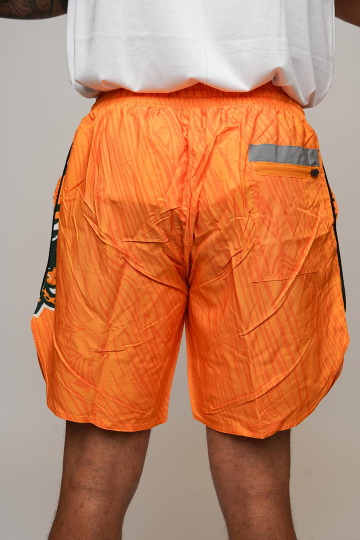 Kittens Shorts - Gold