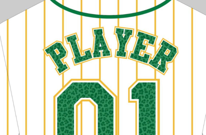 CLASS OF 2001 Alumni Jersey White Southern Lab