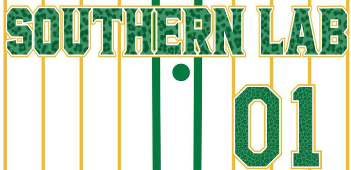CLASS OF 2001 Alumni Jersey White Southern Lab