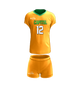 Volleyball 02