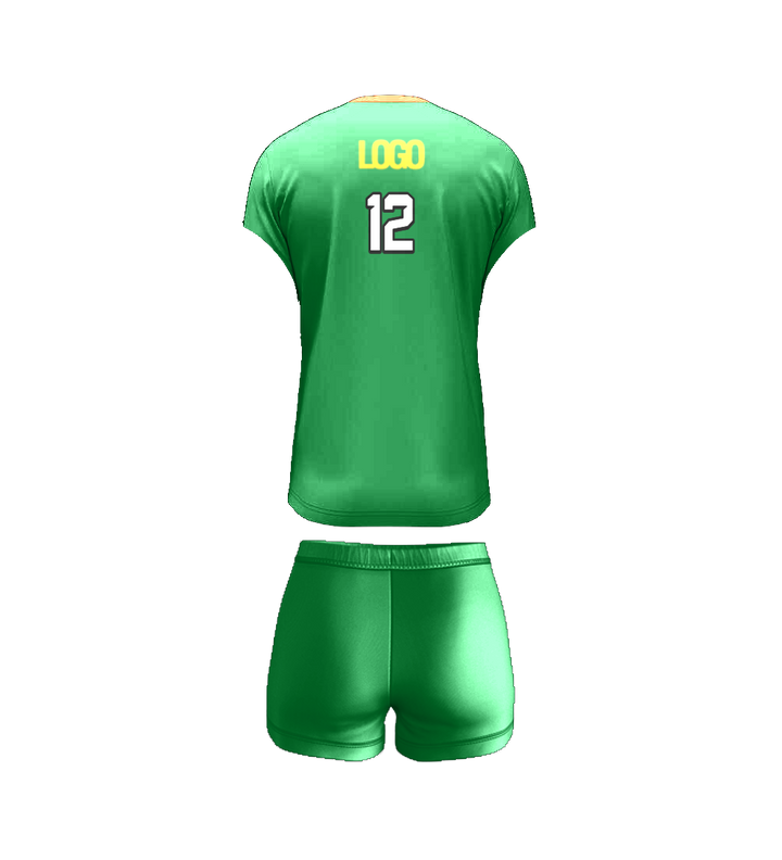 Volleyball 04